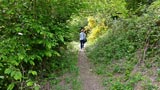 Wanderungen über den Kulturweg Felsen.Faesser.Fachwerk