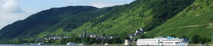 St. Aldegund, Blick über die Mosel